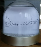 The Damien Wurst Collection - Snowglobes