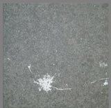 Bird Shit 1